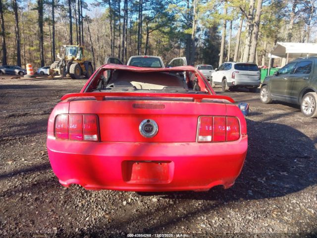 Ford Mustang Image 14