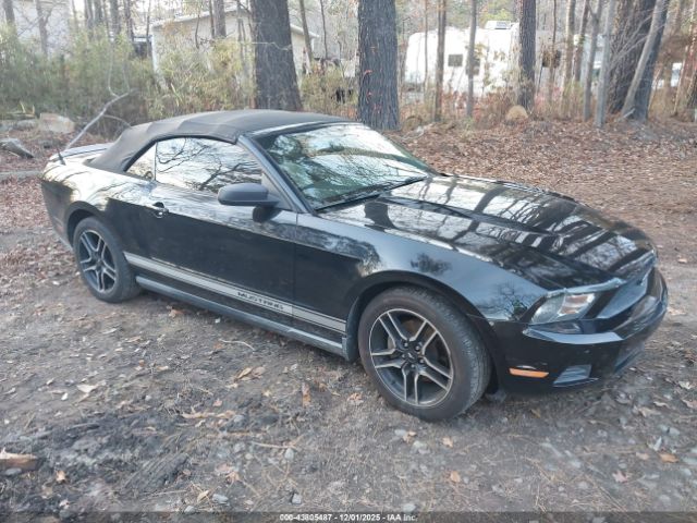 Ford Mustang V6 Premium Image 1