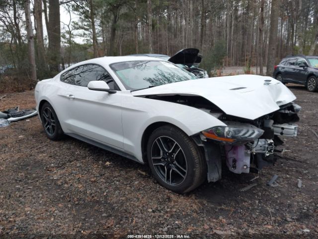 Ford Mustang Ecoboost Premium Fastback Image 1