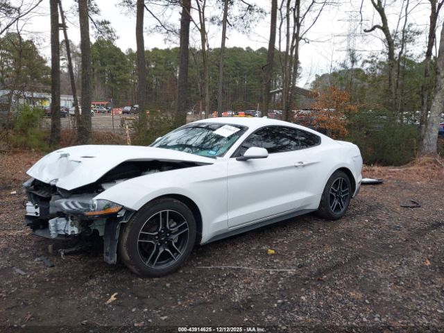 Ford Mustang Ecoboost Premium Fastback Image 5