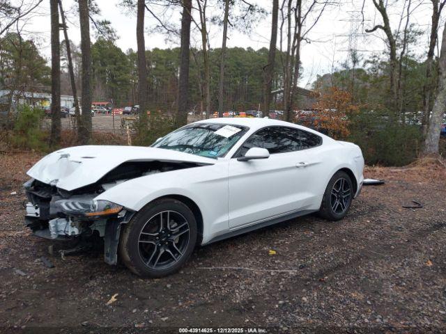 Ford Mustang Ecoboost Premium Fastback Image 5