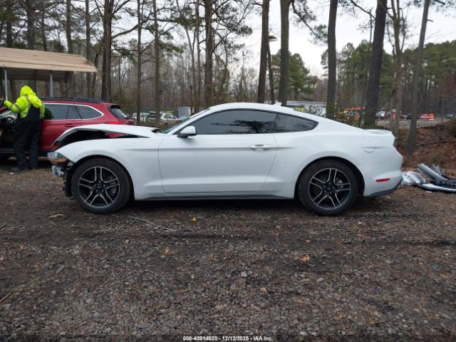 Ford Mustang Ecoboost Premium Fastback Image 14