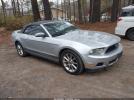 Ford Mustang Image 1