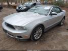 Ford Mustang Image 3