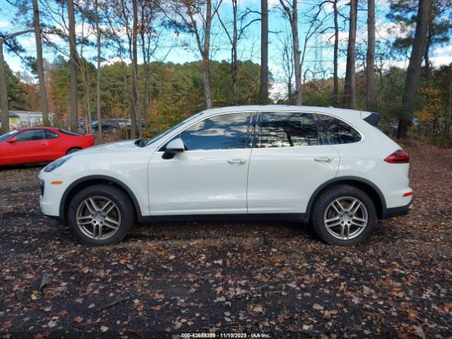 Porsche Cayenne Image 12