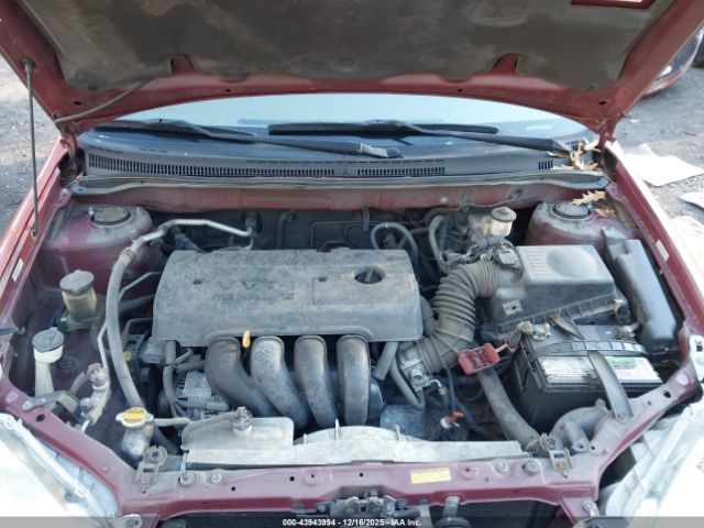 Toyota Corolla Le Image 11