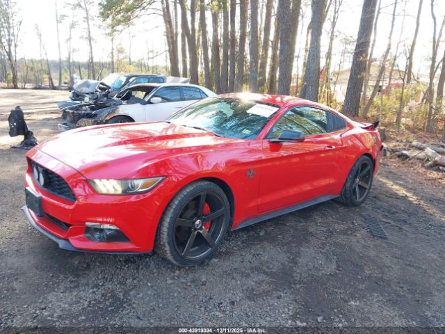 Ford Mustang V6 Image 14